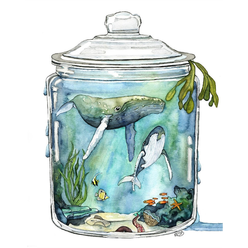 MR-3172023172556-watercolor-painting-whale-painting-terrarium-whale-in-image-1.jpg