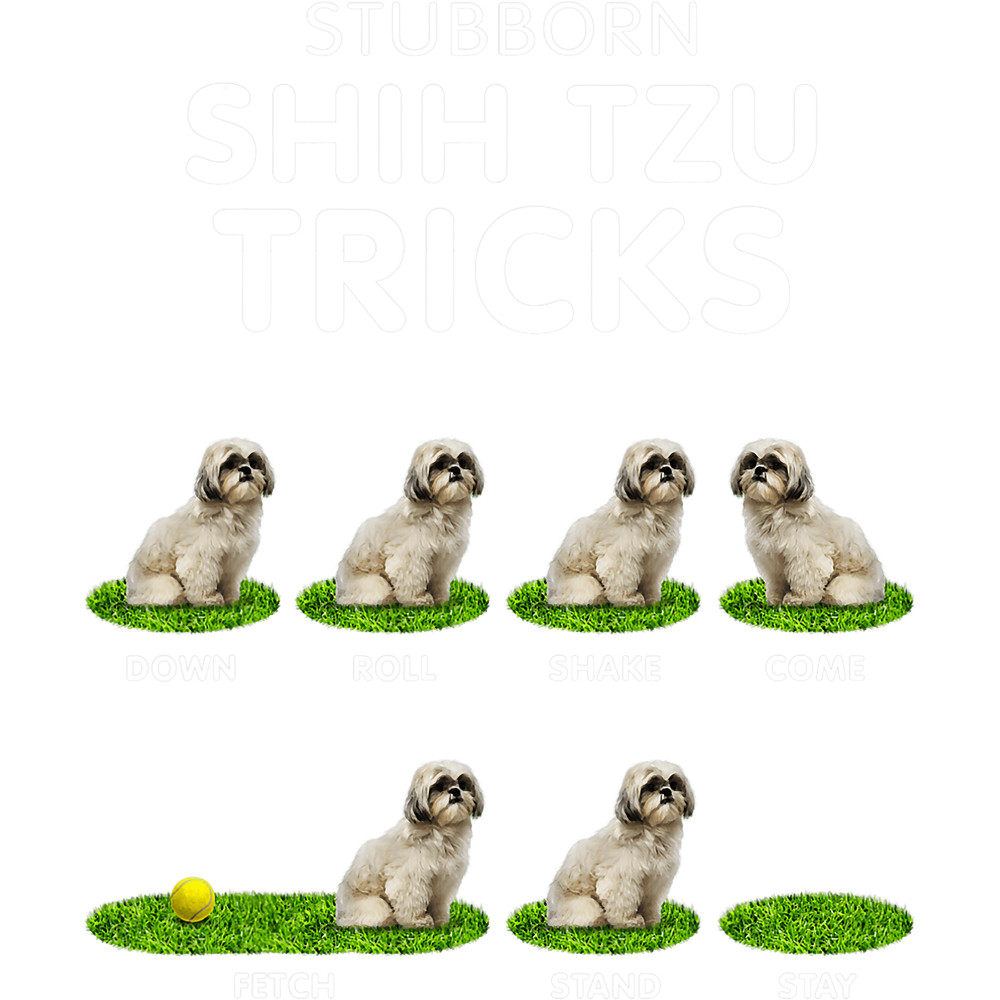 Funny Shih Tzu Trick, stubborn Dog for christmas png, sublimation.pngFunny Shih Tzu Trick, stubborn Dog for christmas png, sublimation.png