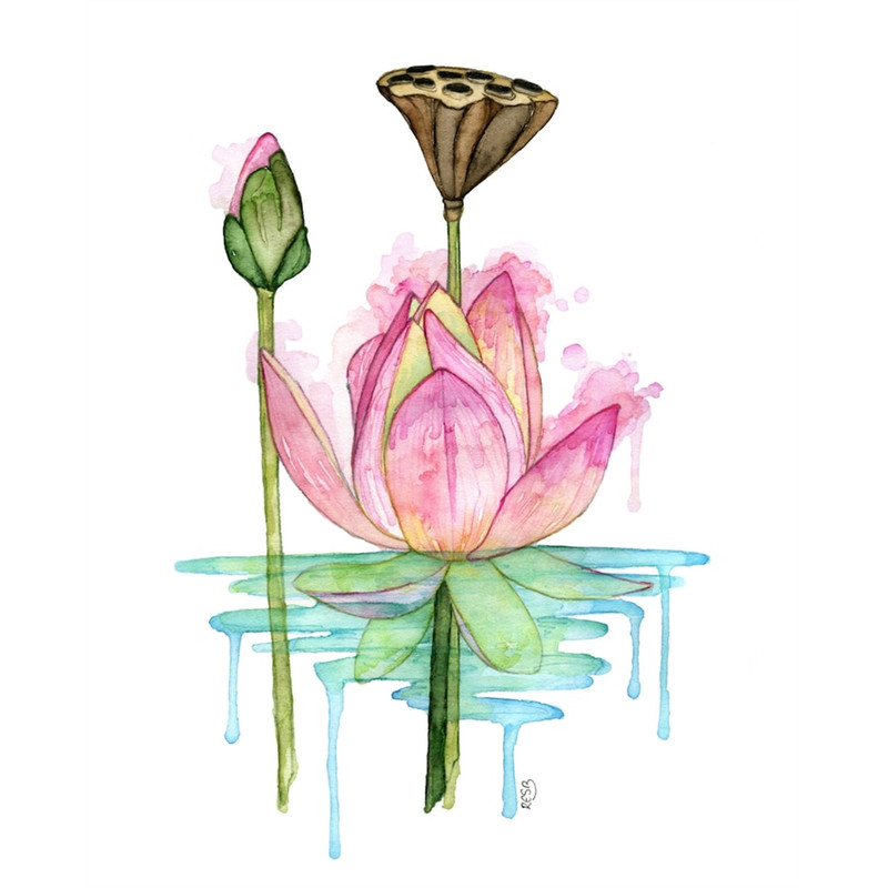 MR-3172023173139-watercolor-painting-lotus-painting-watercolor-print-image-1.jpg