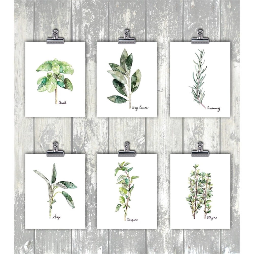 MR-3172023173947-herb-prints-herb-painting-watercolor-prints-watercolor-image-1.jpg