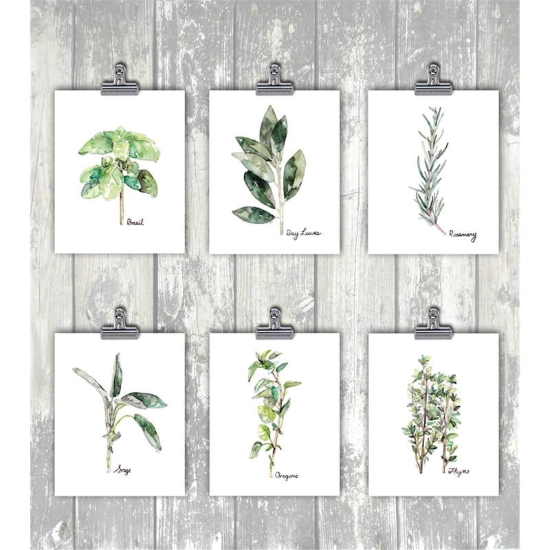 MR-3172023173947-herb-prints-herb-painting-watercolor-prints-watercolor-image-1.jpg