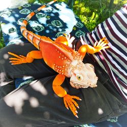 Red-orange realistic toy iguana. Large lizard reptile crocheted for interior decoration. Stuffed animal art toy iguana.