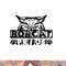 Bobcats School Sports Fan Team Spirit png, sublimation copy.jpg