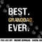 Gift from Granddaughter Grandson Best Granddad Ever png, sublimation copy.jpg