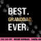 Gift from Granddaughter Grandson Best Granddad Ever png, sublimation copy.jpg