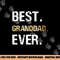 Gift from Granddaughter Grandson Best Granddad Ever png, sublimation copy.jpg