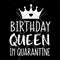 MR-182023105716-birthday-queen-in-quarantine-svg-quarantine-birthday-svg-image-1.jpg