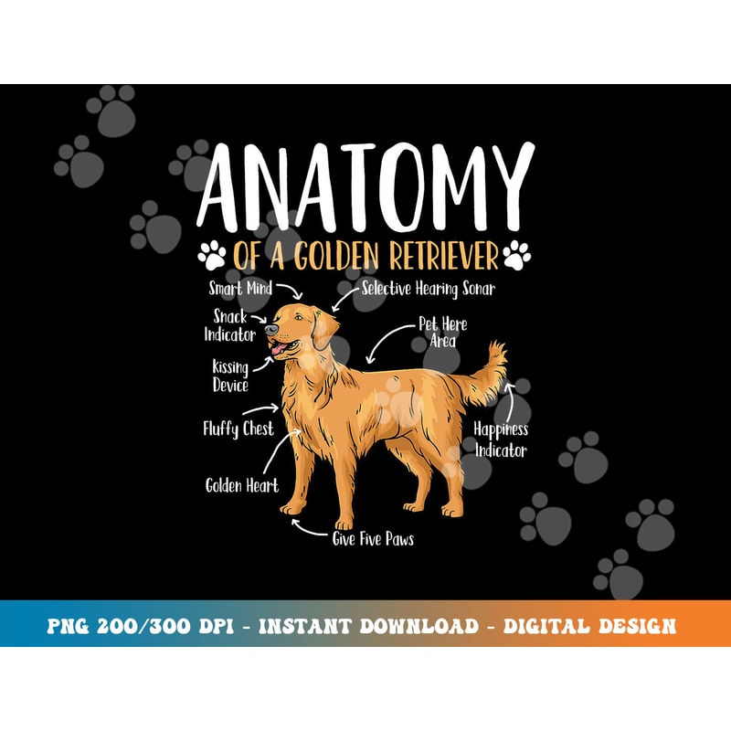 Golden Retriever Dog Anatomy png, sublimation copy.jpg