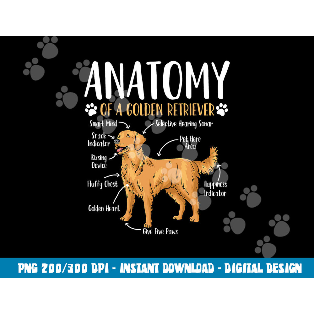 Golden Retriever Dog Anatomy  png, sublimation copy.jpg