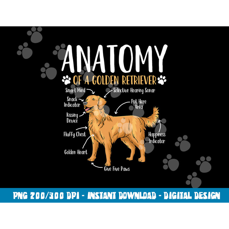 Golden Retriever Dog Anatomy  png, sublimation copy.jpg