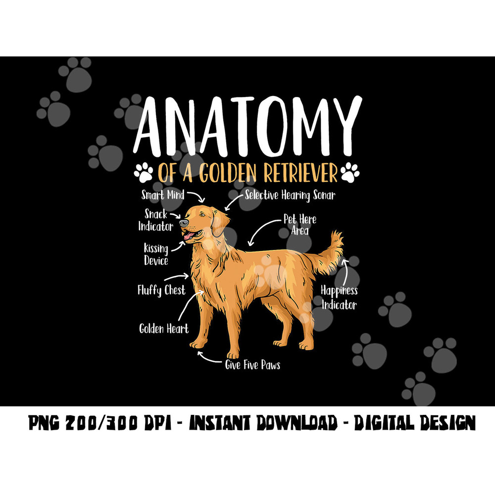 Golden Retriever Dog Anatomy png, sublimation copy.jpg