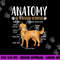 Golden Retriever Dog Anatomy png, sublimation copy.jpg