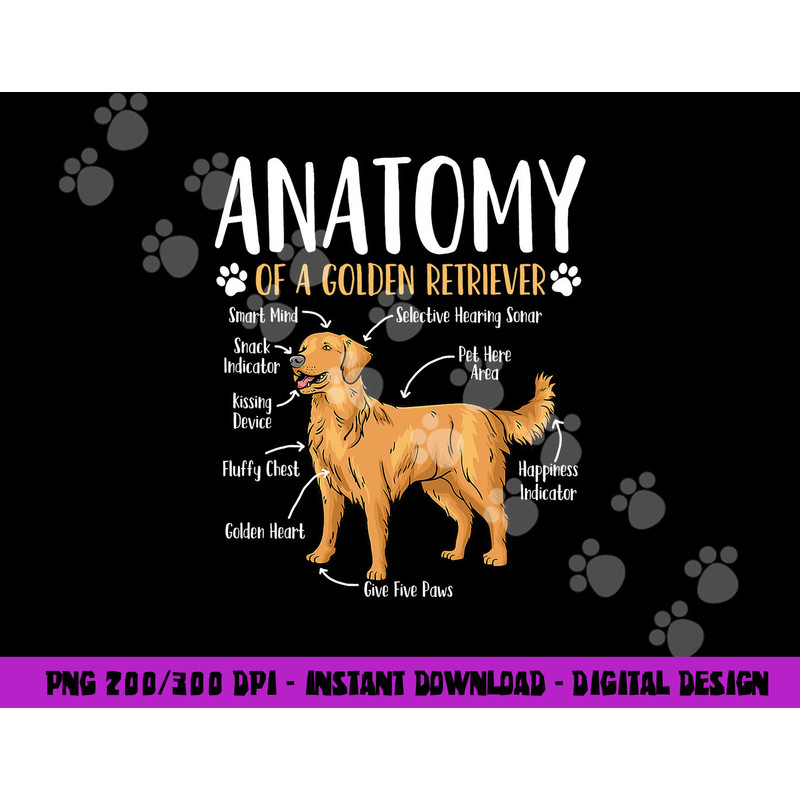 Golden Retriever Dog Anatomy png, sublimation copy.jpg
