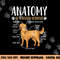Golden Retriever Dog Anatomy png, sublimation copy.jpg