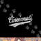 CINCINNATI OHIO RETRO SCRIPT SPORTS JERSEY FLAG png, sublimation copy.jpg