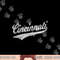 CINCINNATI OHIO RETRO SCRIPT SPORTS JERSEY FLAG png, sublimation copy.jpg