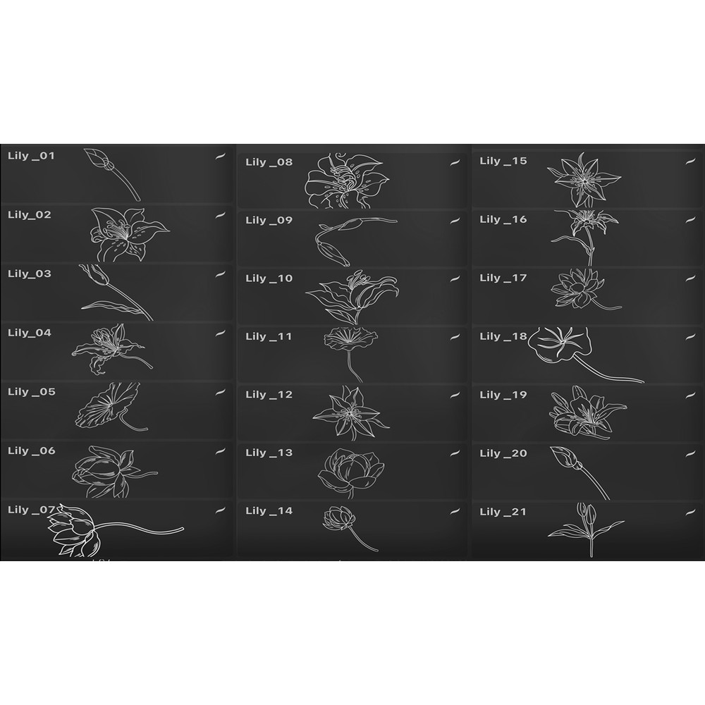 02_Set_brush_01 copy.jpg