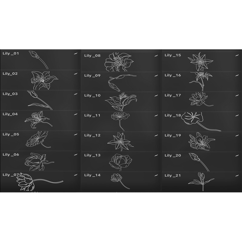 02_Set_brush_01 copy.jpg