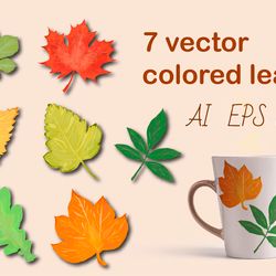 7 clipart leaves of various trees