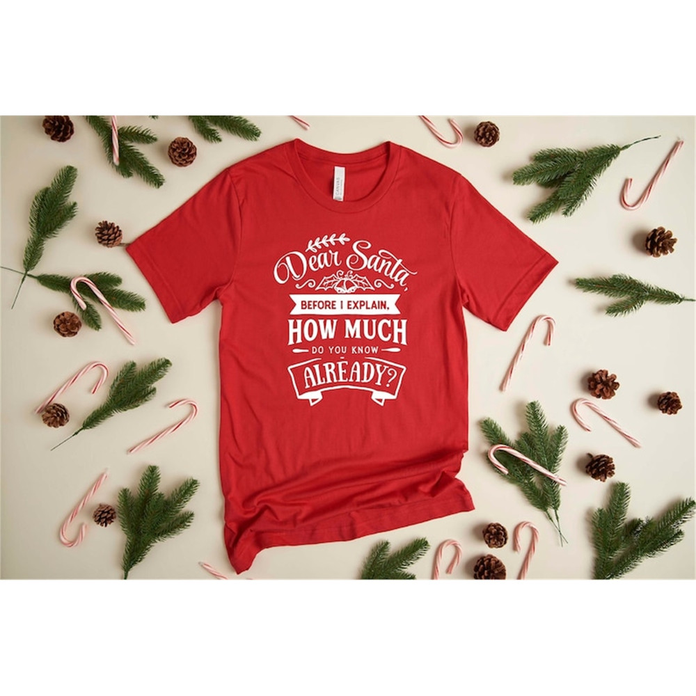 MR-182023144122-dear-santa-before-i-explain-how-much-do-you-know-already-shirt-image-1.jpg