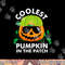 Coolest Pumpkin In The Patch Kids Boys Men Pumpkin Halloween png,sublimation copy.jpg