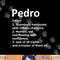 PEDRO Definition Personalized Name Funny Birthday Gift Idea png, sublimation copy.jpg