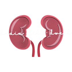 peritoneal dialysis nurse kidney disease funny nursing png, sublimation.pngperitoneal dialysis nurse kidney disease funn