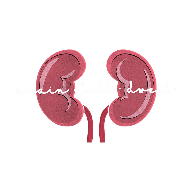 Peritoneal Dialysis Nurse Kidney Disease Funny Nursing png, sublimation.pngPeritoneal Dialysis Nurse Kidney Disease Funny Nursing png, sublimation.png