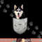 Cute Siberian Husky Sibe Chukcha for dog lovers pocket owner png, sublimation copy.jpg