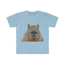 capybara 'idk how much longer i can slay' funny meme t shirt