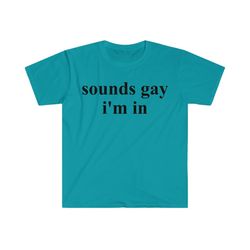 sounds gay i'm in funny meme t shirt