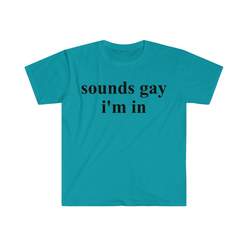 MR-282023115916-sounds-gay-im-in-funny-meme-t-shirt-image-1.jpg