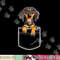 Dachshund in Your Front Pocket T Shirt Dog Puppy Gifts Women copy.jpg