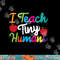 PreK Kindergarten Teacher design I Teach Tiny Humans png, sublimation copy.jpg