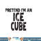 Pretend I m An Ice Cube png, sublimation Easy Halloween Costume png, sublimation copy.jpg
