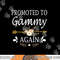 Promoted To Gammy Again Shirt Mothers Day Gifts png,sublimation copy.jpg