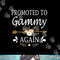 Promoted To Gammy Again Shirt Mothers Day Gifts png, sublimation.jpg