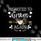 Promoted To Gram Again Shirt Mothers Day Gifts png, sublimation copy.jpg