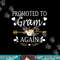 Promoted To Gram Again Shirt Mothers Day Gifts png, sublimation.jpg
