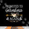 Promoted To Grandma Again Shirt Mothers Day Gifts png, sublimation copy.jpg