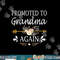 Promoted To Grandma Again Shirt Mothers Day Gifts png, sublimation copy.jpg