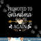 Promoted To Grandma Again Shirt Mothers Day Gifts png, sublimation copy.jpg