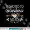 Promoted To Grandma Again Shirt Mothers Day Gifts png, sublimation copy.jpg