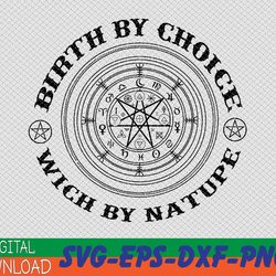 Witch By Nature Bitch By Choice Funny Halloween Svg, png, eps, dxf digital download