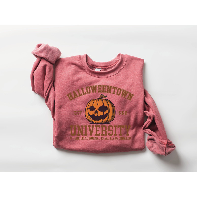 Halloween Town Est 1998 Sweatshirt, Halloweentown University Shirt, Fall Womens Sweatshirt, Halloween Party Tee, Pumpkin Halloween Shirt - 3.jpg