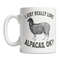 MR-382023162544-i-love-alpacas-mug-cute-alpaca-mug-for-alpaca-lovers-funny-image-1.jpg