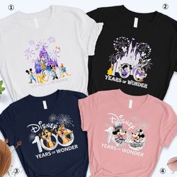 disney100 shirt, disneyworld 100 years of wonder, 100th anniversary disneyland shirt, mickey and friends, chip and dale,