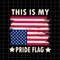 MR-382023192925-this-is-my-pride-flag-svg-4th-of-july-svg-american-bald-image-1.jpg