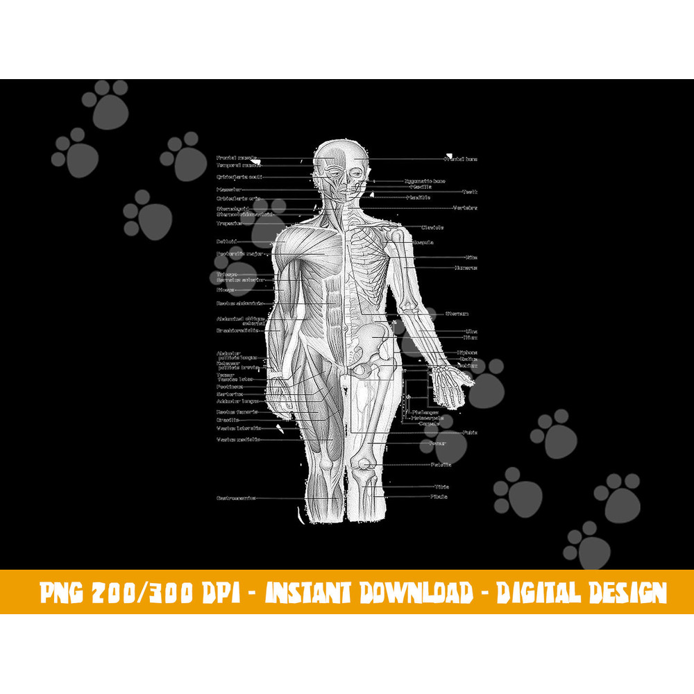 Human Muscle Anatomy Design Tshirt Gift Idea (1) copy.jpg