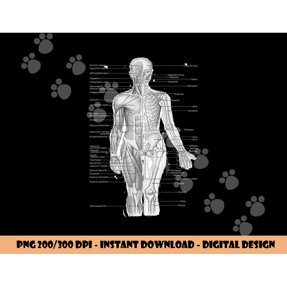 Human Muscle Anatomy Design Tshirt Gift Idea (1) copy.jpg